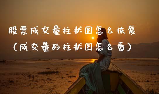 股票成交量柱状图怎么恢复（成交量的柱状图怎么看）_https://www.gzqbddp.com_技术分析_第1张