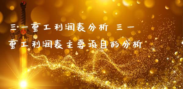 三一重工利润表分析 三一重工利润表主要项目的分析_https://www.gzqbddp.com_炒股经验_第1张
