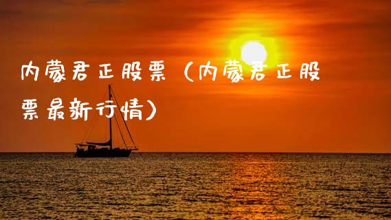 内蒙君正股票（内蒙君正股票最新行情）_https://www.gzqbddp.com_技术分析_第1张