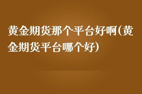 黄金期货那个平台好啊(黄金期货平台哪个好)_https://www.gzqbddp.com_财经资讯_第1张