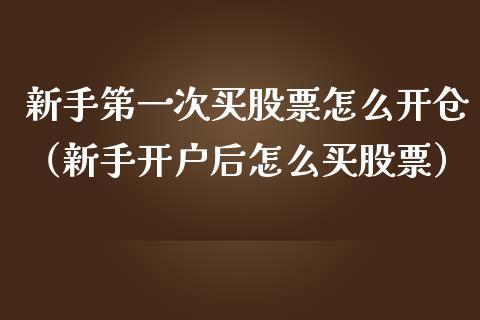 新手第一次买股票怎么开仓（新手开户后怎么买股票）_https://www.gzqbddp.com_选股技巧_第1张
