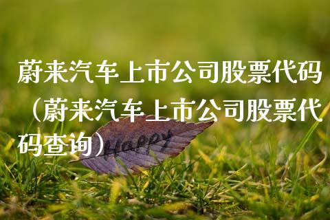 蔚来汽车上市公司股票代码（蔚来汽车上市公司股票代码查询）_https://www.gzqbddp.com_炒股经验_第1张