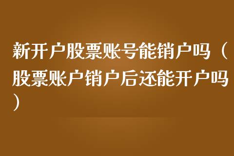 新开户股票账号能销户吗（股票账户销户后还能开户吗）_https://www.gzqbddp.com_股票知识_第1张
