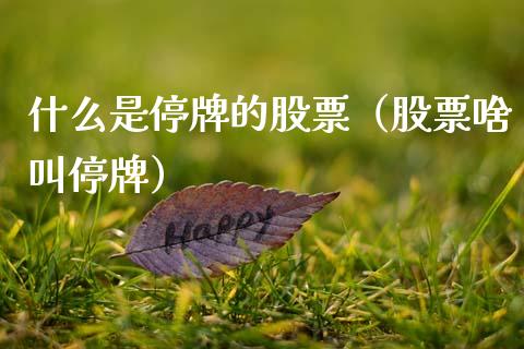 什么是停牌的股票（股票啥叫停牌）_https://www.gzqbddp.com_股票知识_第1张
