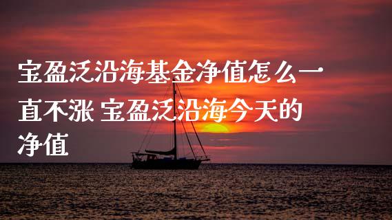 宝盈泛沿海基金净值怎么一直不涨 宝盈泛沿海今天的净值_https://www.gzqbddp.com_基金理财_第1张