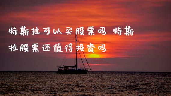特斯拉可以买股票吗 特斯拉股票还值得投资吗_https://www.gzqbddp.com_炒股经验_第1张