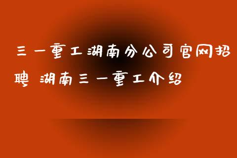 三一重工湖南分公司官网招聘 湖南三一重工介绍_https://www.gzqbddp.com_股票知识_第1张