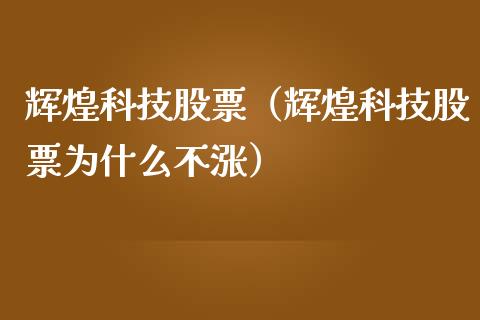 辉煌科技股票（辉煌科技股票为什么不涨）_https://www.gzqbddp.com_财经资讯_第1张
