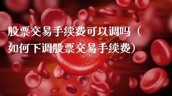 股票交易手续费可以调吗（如何下调股票交易手续费）_https://www.gzqbddp.com_股票知识_第1张