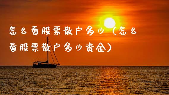 怎么看股票散户多少（怎么看股票散户多少资金）_https://www.gzqbddp.com_炒股经验_第1张