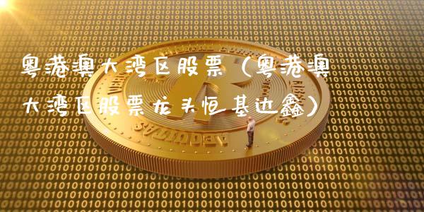 粤港澳大湾区股票（粤港澳大湾区股票龙头恒基达鑫）_https://www.gzqbddp.com_技术分析_第1张