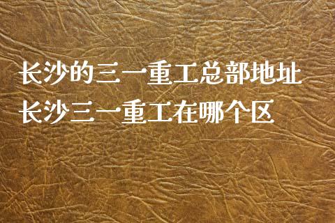 长沙的三一重工总部地址 长沙三一重工在哪个区_https://www.gzqbddp.com_炒股经验_第1张