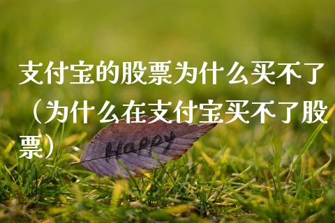 支付宝的股票为什么买不了（为什么在支付宝买不了股票）_https://www.gzqbddp.com_炒股经验_第1张
