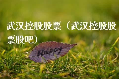 武汉控股股票（武汉控股股票股吧）_https://www.gzqbddp.com_技术分析_第1张