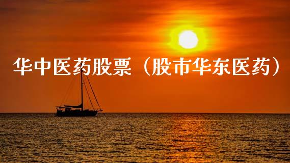 华中医药股票（股市华东医药）_https://www.gzqbddp.com_股票知识_第1张