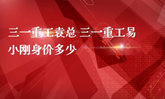 三一重工袁总 三一重工易小刚身价多少_https://www.gzqbddp.com_炒股经验_第1张