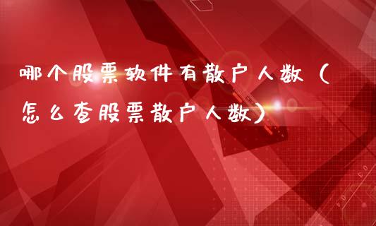 哪个股票软件有散户人数（怎么查股票散户人数）_https://www.gzqbddp.com_技术分析_第1张