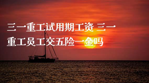 三一重工试用期工资 三一重工员工交五险一金吗_https://www.gzqbddp.com_股票知识_第1张