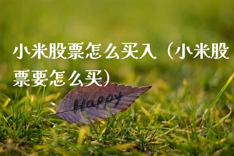 小米股票怎么买入（小米股票要怎么买）_https://www.gzqbddp.com_选股技巧_第1张