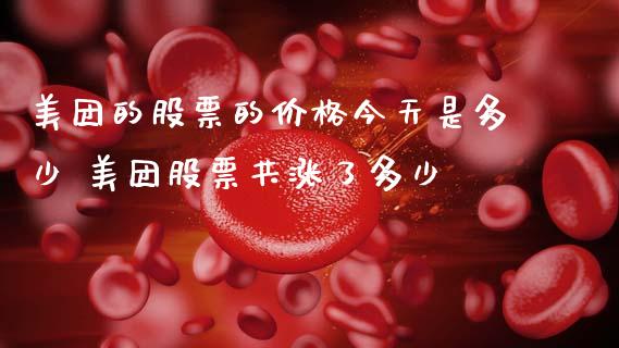 美团的股票的价格今天是多少 美团股票共涨了多少_https://www.gzqbddp.com_股票知识_第1张