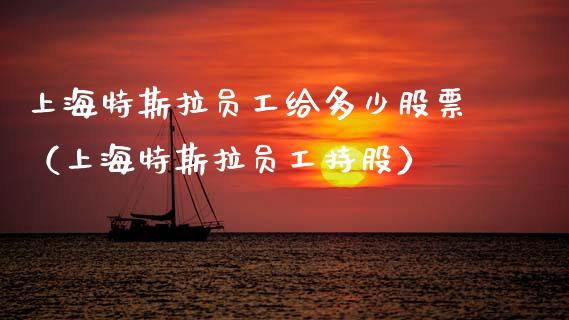 上海特斯拉员工给多少股票（上海特斯拉员工持股）_https://www.gzqbddp.com_炒股经验_第1张