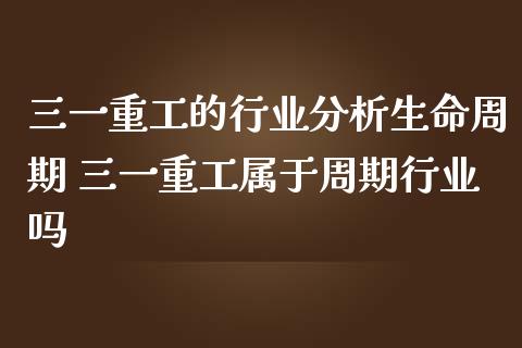 三一重工的行业分析生命周期 三一重工属于周期行业吗_https://www.gzqbddp.com_技术分析_第1张