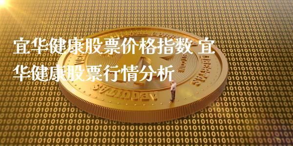 宜华健康股票价格指数 宜华健康股票行情分析_https://www.gzqbddp.com_炒股经验_第1张