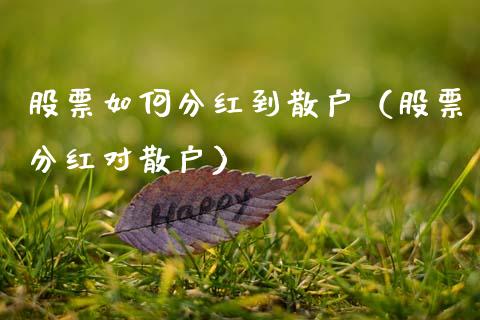 股票如何分红到散户（股票分红对散户）_https://www.gzqbddp.com_选股技巧_第1张