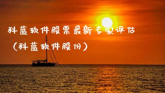科蓝软件股票最新专家评估（科蓝软件股份）_https://www.gzqbddp.com_炒股经验_第1张