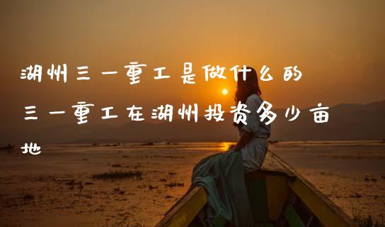 湖州三一重工是做什么的 三一重工在湖州投资多少亩地_https://www.gzqbddp.com_股票知识_第1张