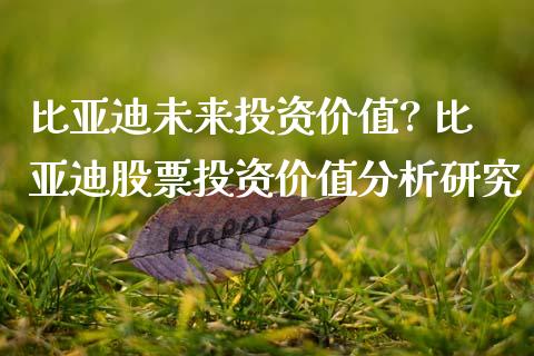 比亚迪未来投资价值? 比亚迪股票投资价值分析研究_https://www.gzqbddp.com_股票知识_第1张