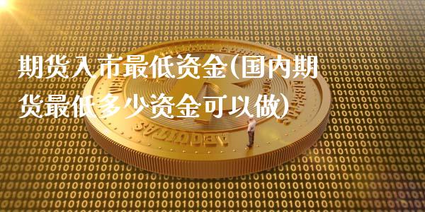 期货入市最低资金(国内期货最低多少资金可以做)_https://www.gzqbddp.com_财经直播室_第1张