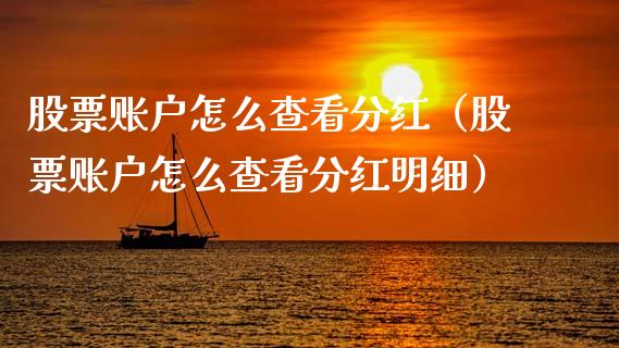 股票账户怎么查看分红（股票账户怎么查看分红明细）_https://www.gzqbddp.com_炒股经验_第1张