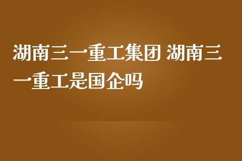 湖南三一重工集团 湖南三一重工是国企吗_https://www.gzqbddp.com_股票知识_第1张