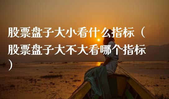 股票盘子大小看什么指标（股票盘子大不大看哪个指标）_https://www.gzqbddp.com_选股技巧_第1张