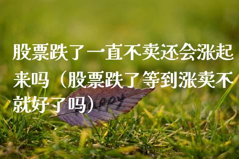 股票跌了一直不卖还会涨起来吗（股票跌了等到涨卖不就好了吗）_https://www.gzqbddp.com_股票知识_第1张