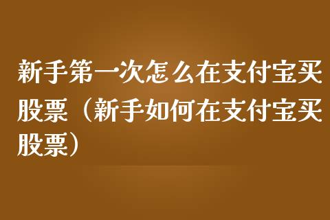 新手第一次怎么在支付宝买股票（新手如何在支付宝买股票）_https://www.gzqbddp.com_炒股经验_第1张