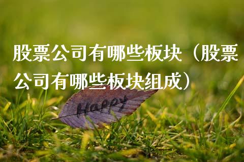 股票公司有哪些板块（股票公司有哪些板块组成）_https://www.gzqbddp.com_技术分析_第1张