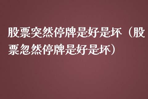 股票突然停牌是好是坏（股票忽然停牌是好是坏）_https://www.gzqbddp.com_选股技巧_第1张