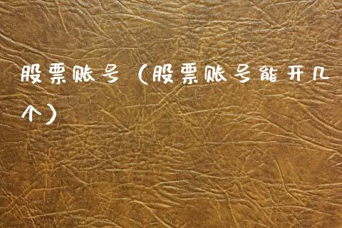 股票账号（股票账号能开几个）_https://www.gzqbddp.com_炒股经验_第1张