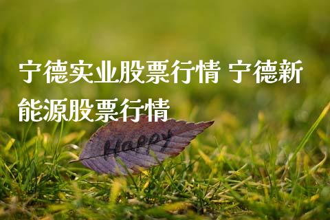 宁德实业股票行情 宁德新能源股票行情_https://www.gzqbddp.com_技术分析_第1张