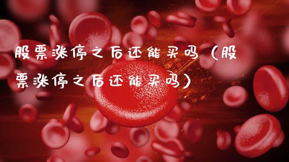 股票涨停之后还能买吗（股票涨停之后还能买吗）_https://www.gzqbddp.com_选股技巧_第1张