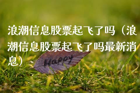 浪潮信息股票起飞了吗（浪潮信息股票起飞了吗最新消息）_https://www.gzqbddp.com_炒股经验_第1张