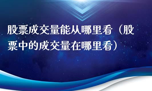 股票成交量能从哪里看（股票中的成交量在哪里看）_https://www.gzqbddp.com_选股技巧_第1张
