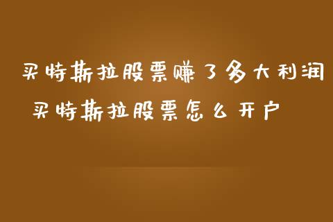 买特斯拉股票赚了多大利润 买特斯拉股票怎么开户_https://www.gzqbddp.com_股票知识_第1张